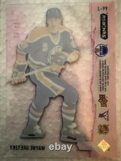 24-25 Upper Deck Synergy Colorways Wayne Gretzky 05/49 Edmonton Oilers HOF SP